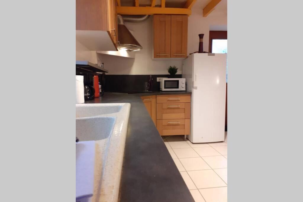 Maison De Village Saint-Barthélemy-de-Vals Zewnętrze zdjęcie
